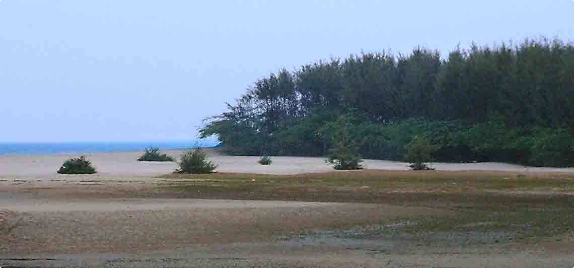 Talasari Beach