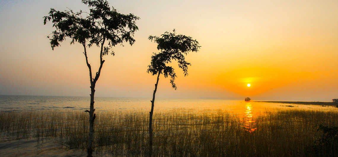 DEBRIGARH NATURE CAMP