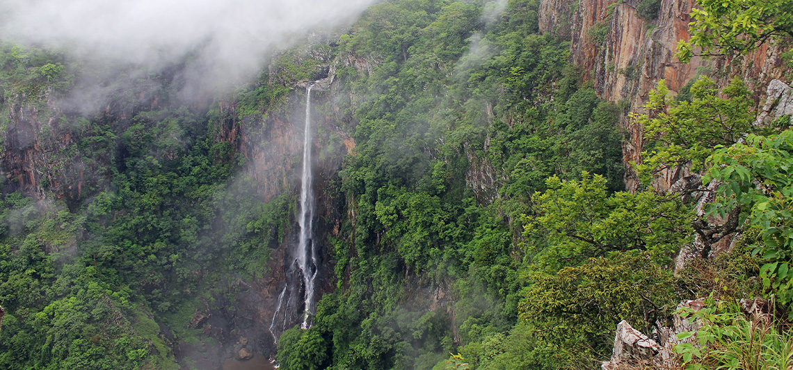 Similipal Nature Camp