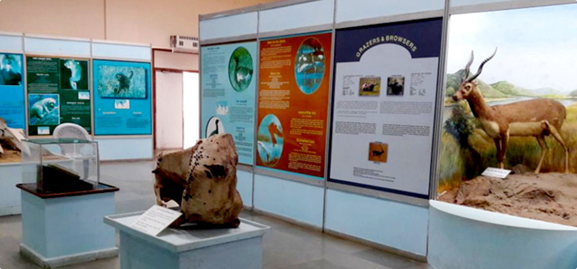 Regional Museum of Natural History